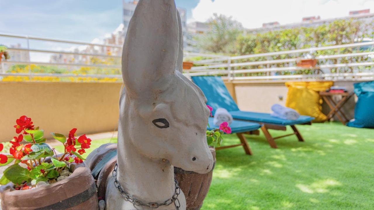 New Delux Green Garden Apartment With Hotube **** سبليت المظهر الخارجي الصورة